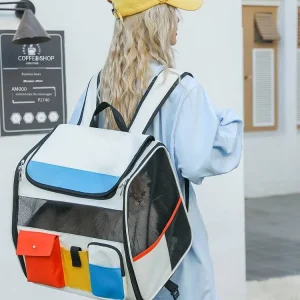 2026 New Detachable Backpack and Single Shoulder Bag for Pets